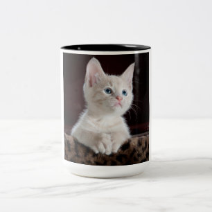 Vulnerable White Kitten Zweifarbige Tasse