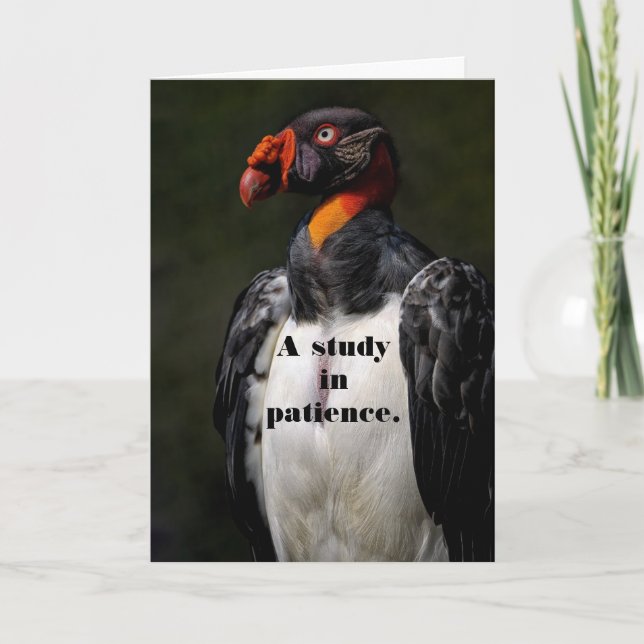 VULTUR PATIENCE BIRTHDAY CARD DANKESKARTE (Vorderseite)