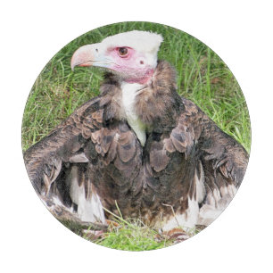 VULTUR SCHNEIDEBRETT