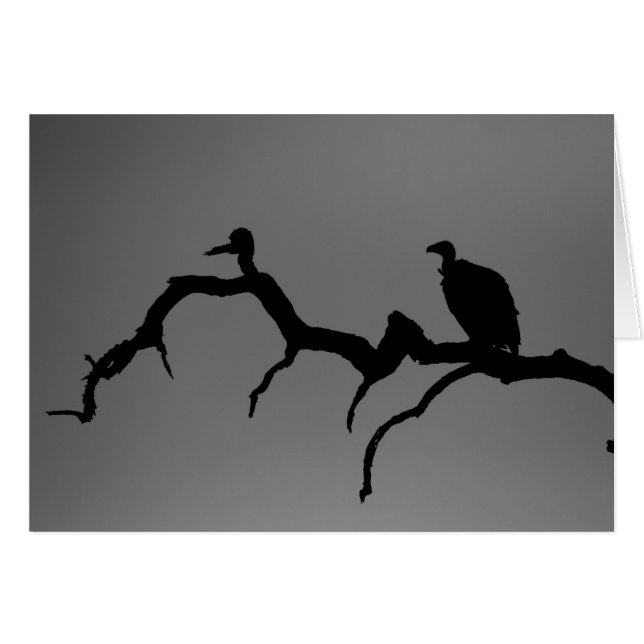 Vulture Silhouette (Vorderseite (Horizontal))