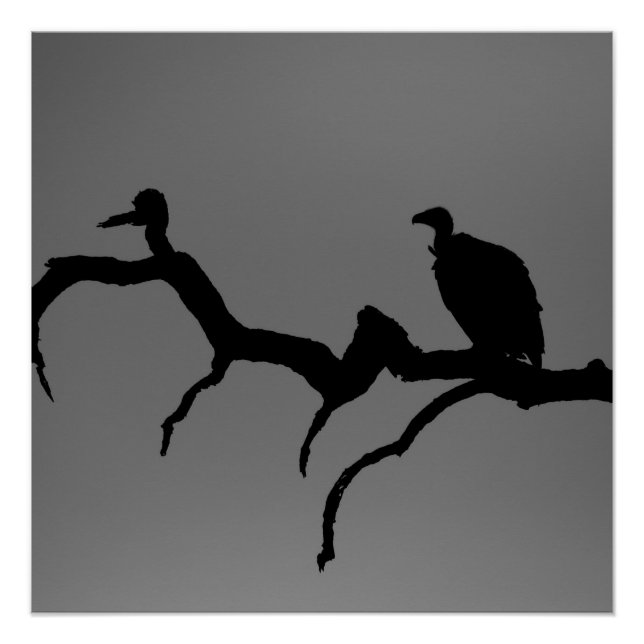 Vulture Silhouette Poster (Vorderseite)