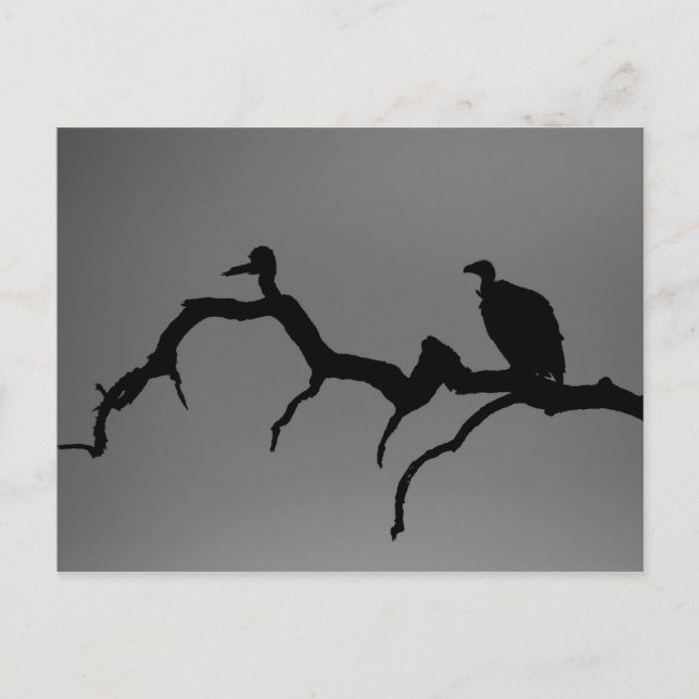 Vulture Silhouette Postkarte (Vorderseite)