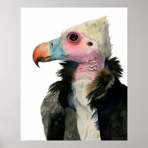 Vulture Watercolor-Malerei