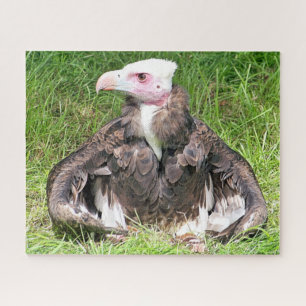 VULTURELLE VOGELN PUZZLE