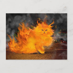 Vuur Kat Postkarte