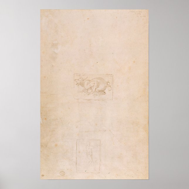 W.54 Studie eines Drachen Poster (Vorne)