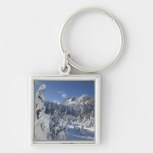 WA, Alpine Lakes Wilderness, Snow Lake-Becken Schlüsselanhänger