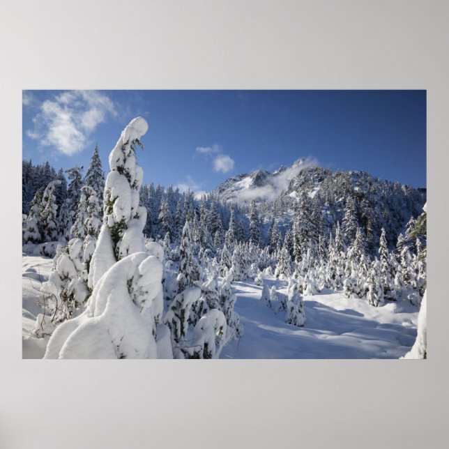 WA, Alpseen Wilderness, Schneesee-Becken Poster (Vorne)