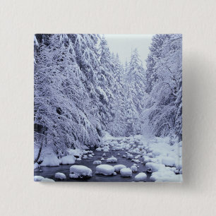 WA, Baker-Snoqualmie-Nationalwald, Button