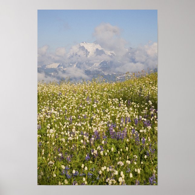 WA, Baker Wilderness, Mt. Shuksan und Poster (Vorne)