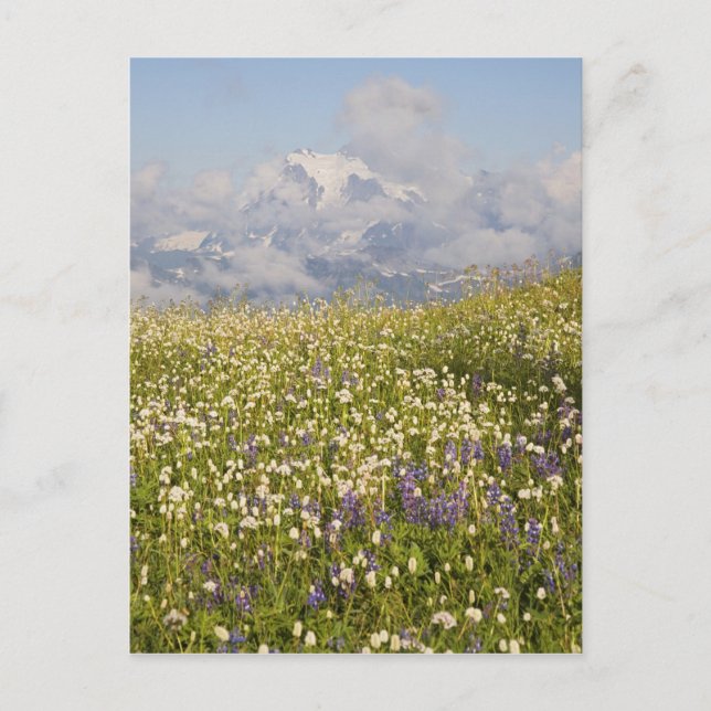 WA, Baker Wilderness, Mt. Shuksan und Postkarte (Vorderseite)