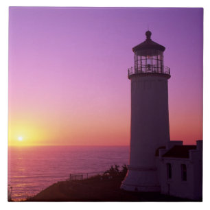 WA, Cape Disappointment State Park, North Head 2 Fliese
