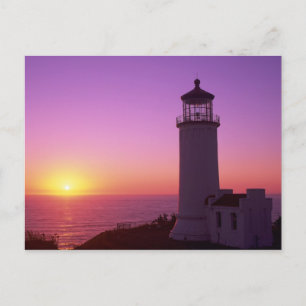 WA, Cape Disappointment State Park, North Head 2 Postkarte