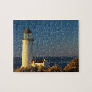 WA, Cape Disappointment State Park, North Head Puzzle