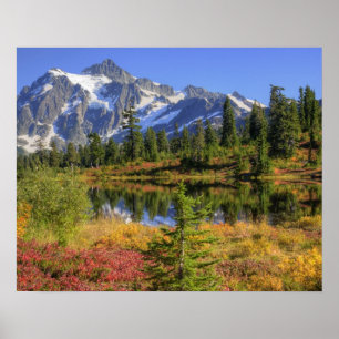 WA, Heather Meadows Freizeitgebiet, Berg 2 Poster