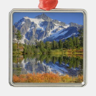 WA, Heather Meadows Freizeitgelände, Berg Silbernes Ornament