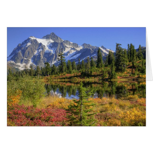 WA, Heather Meadows Recreation Area, MT 2 (Vorderseite (Horizontal))