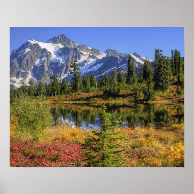WA, Heather Meadows Recreation Area, MT 2 Poster (Vorne)
