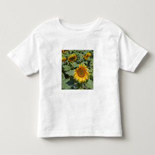 WA, Kittitas County, Sonnenblumenfeld Kleinkind T-shirt
