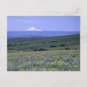 WA, Klickitat County, Dalles Mountain Ranch, Postkarte