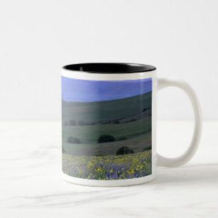 WA, Klickitat Landkreis, Dalles Mountain Ranch, Zweifarbige Tasse