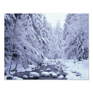 WA, Mount Baker-Snoqualmie National Forest, Fotodruck