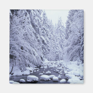 WA, Mount Baker-Snoqualmie National Forest, Magnet