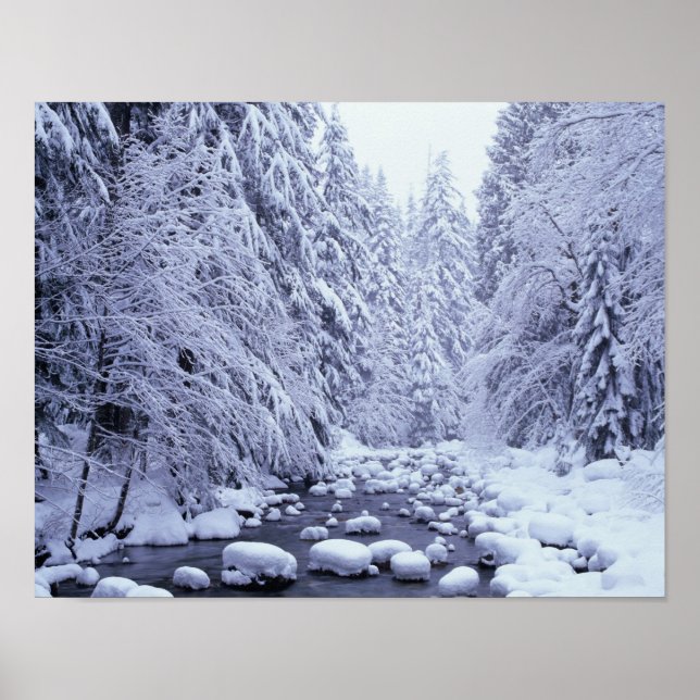 WA, Mount Baker-Snoqualmie National Forest, Poster (Vorne)