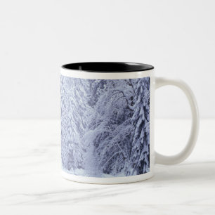 WA, Mount Baker-Snoqualmie National Forest, Zweifarbige Tasse