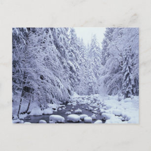 WA, Mount Baker-Snoqualmie Nationalforst, Postkarte