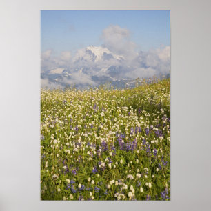 WA, Mt. Baker Wilderness, Mt. Shuksan und Poster