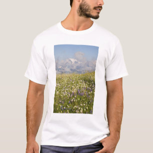 WA, Mt. Baker Wilderness, Mt. Shuksan und T-Shirt