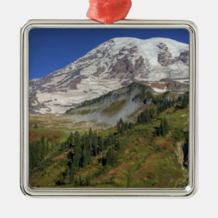 WA, Mt. Rainier Nationalpark, Blick von der Ornament Aus Metall