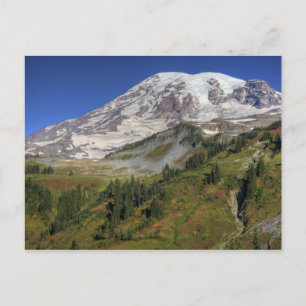 WA, Mt. Rainier Nationalpark, Blick von der Postkarte