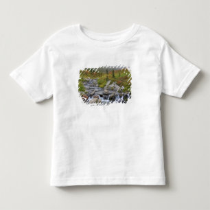WA, Mt. Rainier Nationalpark, Edith Creek Kleinkind T-shirt