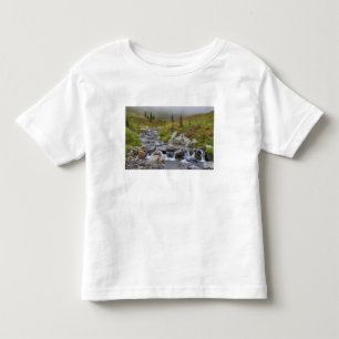WA, Mt. Rainier Nationalpark, Edith Creek Kleinkind T-shirt