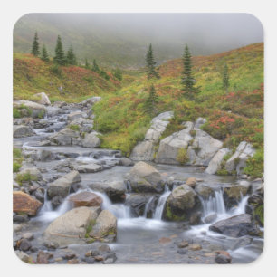 WA, Mt. Rainier Nationalpark, Edith Creek Quadratischer Aufkleber