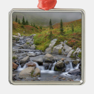 WA, Mt. Rainier Nationalpark, Edith Creek Silbernes Ornament