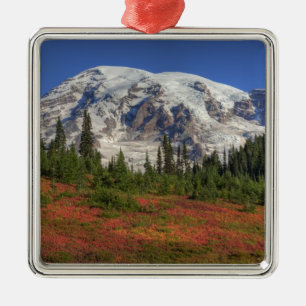 WA, Mt. Rainier Nationalpark, Paradise Valley Silbernes Ornament