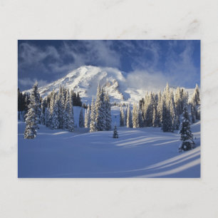 WA, Mt. Rainier NP, Mt. Rainier und Paradise Postkarte