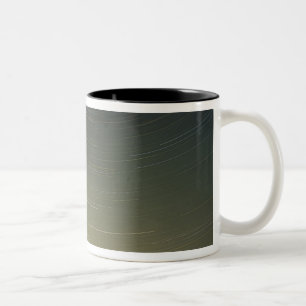 WA, Nationalpark Rainier, Berg Rainier, Zweifarbige Tasse