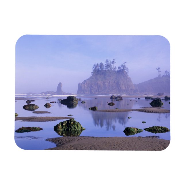 WA, Olympic National Park, Second Beach, Magnet (Horizontal)