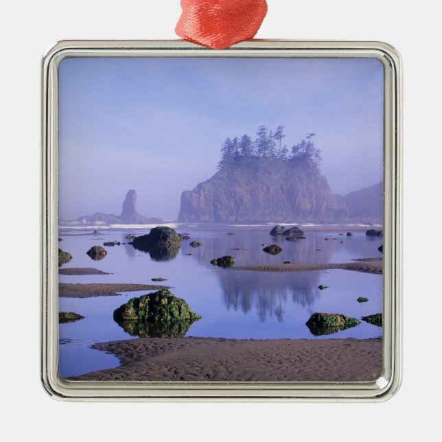 WA, Olympic National Park, Second Beach, Silbernes Ornament (Vorne)