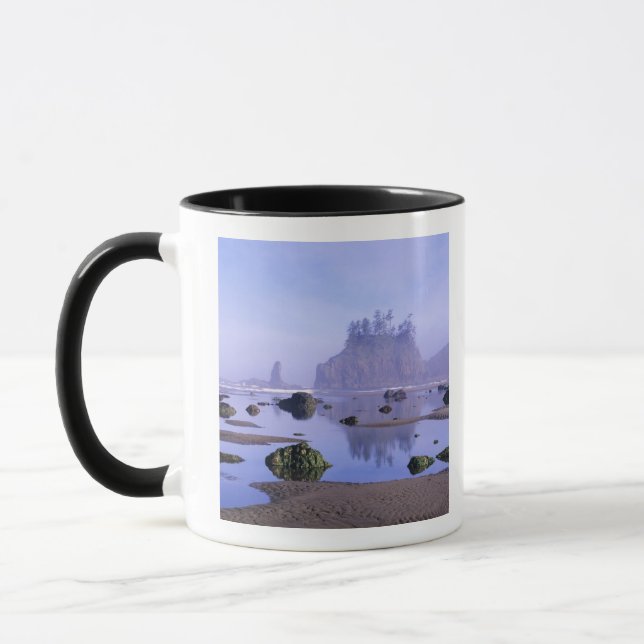WA, Olympic National Park, Second Beach, Tasse (Links)