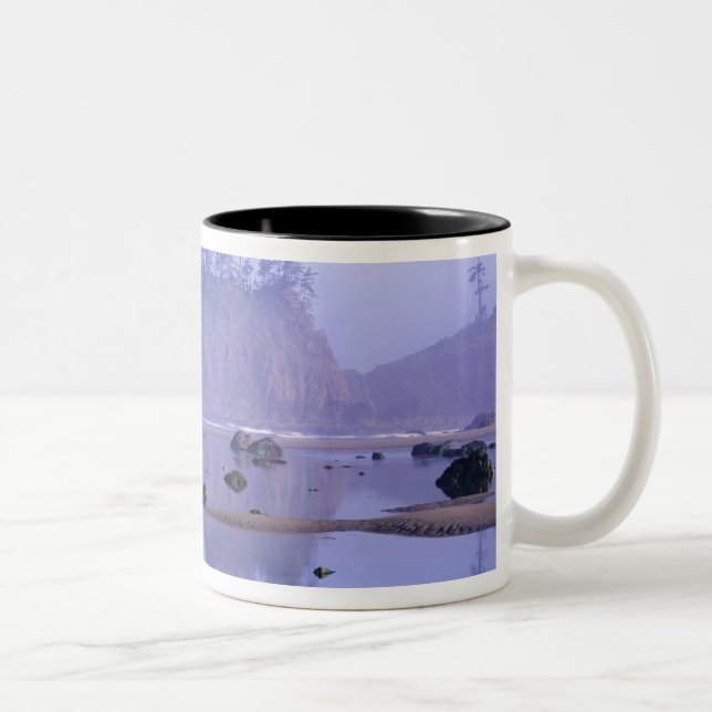 WA, Olympic National Park, Second Beach, Zweifarbige Tasse (Rechts)