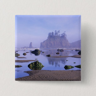 WA, Olympic-Nationalpark, Second Beach, Button