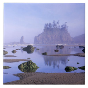WA, Olympic-Nationalpark, Second Beach, Fliese
