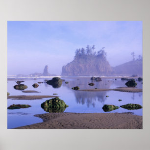 WA, Olympic-Nationalpark, Second Beach, Poster