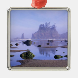 WA, Olympic-Nationalpark, Second Beach, Silbernes Ornament