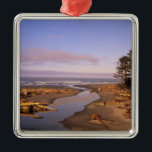 WA, Olympic NP, Kalaloch Beach und Kalaloch Silbernes Ornament<br><div class="desc">COPYRIGHT Jamie & Judy Wild / DanitaDelimont.com| US48 JWI1316.jpg| WA, Olympic NP, Kalaloch Beach und Kalaloch Creek</div>